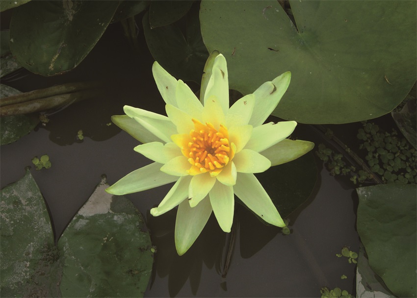 金獎?wù)?>
<span><i></i></span>
</div>
<p class=