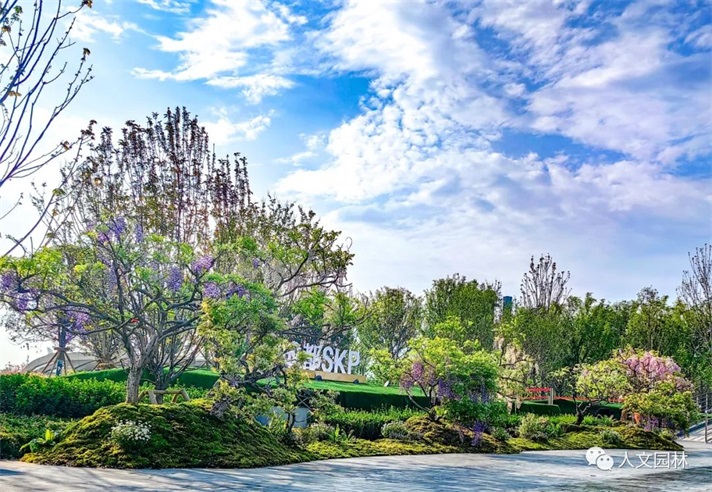 人文花展|成都SKP發來感謝信：高超造景技術帶來圓滿呈現，期待未來繼續精誠合作