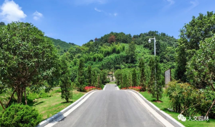 1682242285361466A0C0.jpg 2A7EB187-0594-4b7d-BC9C-620C09EB51F5.jpg