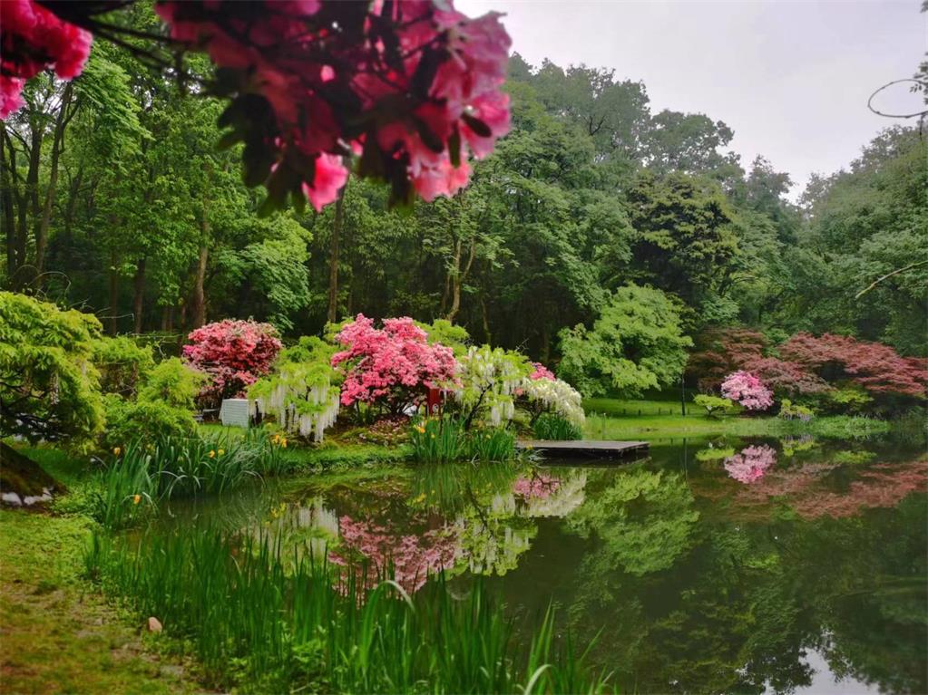 16823931588255646746.jpg 微信圖片_20230421173631.jpg