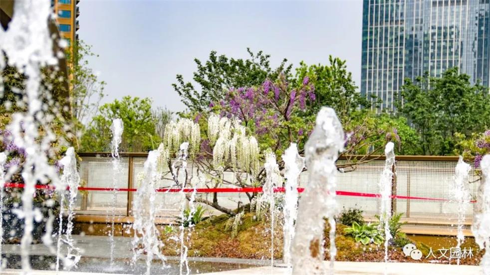 1682394544765277913B.jpg 640 (3).jpg