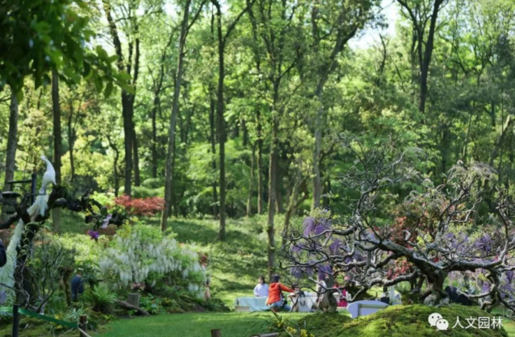 1683181679125609994D.png image.png