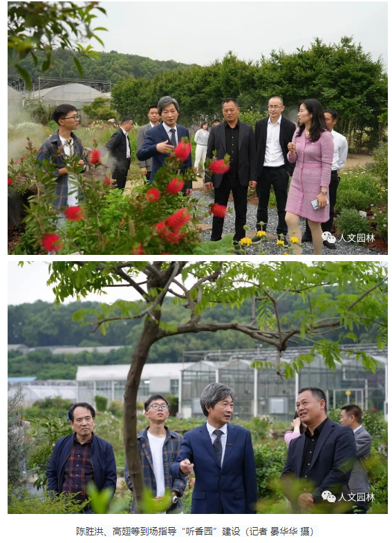 1683789595929443C4D9.png image.png