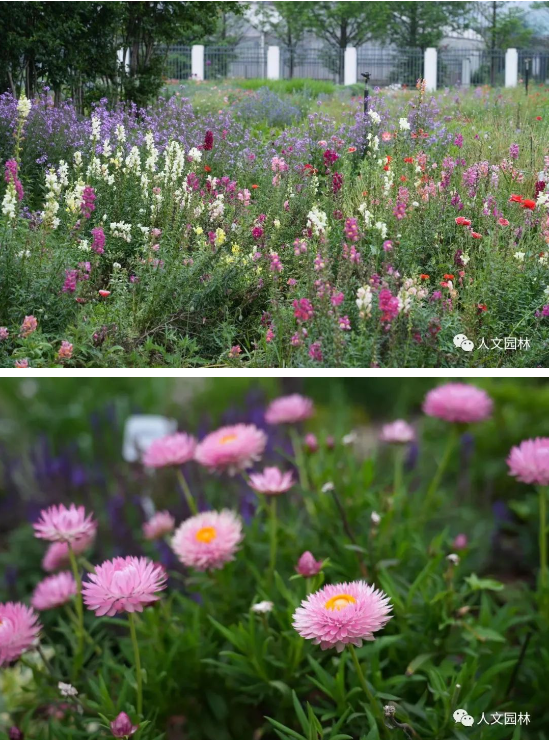 16837913981069853D31.png image.png