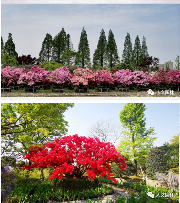 16837918445305811BA5.png image.png