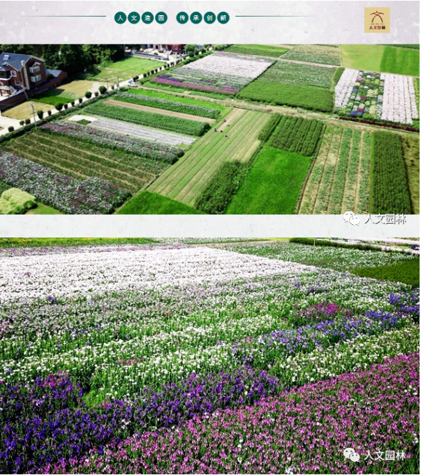 1683791886200614C247.png image.png