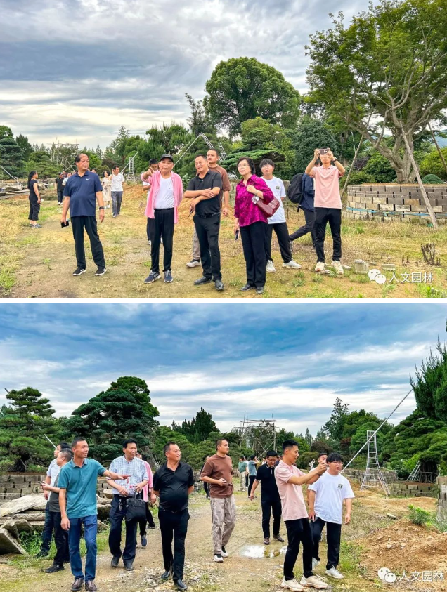 1688019663227078C3B8.png image.png