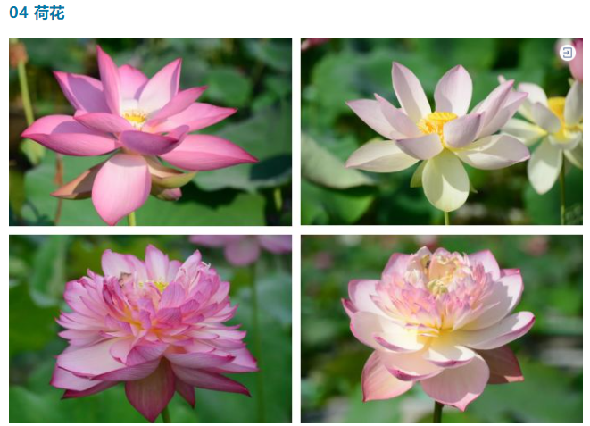 16880205655060538BB8.png image.png